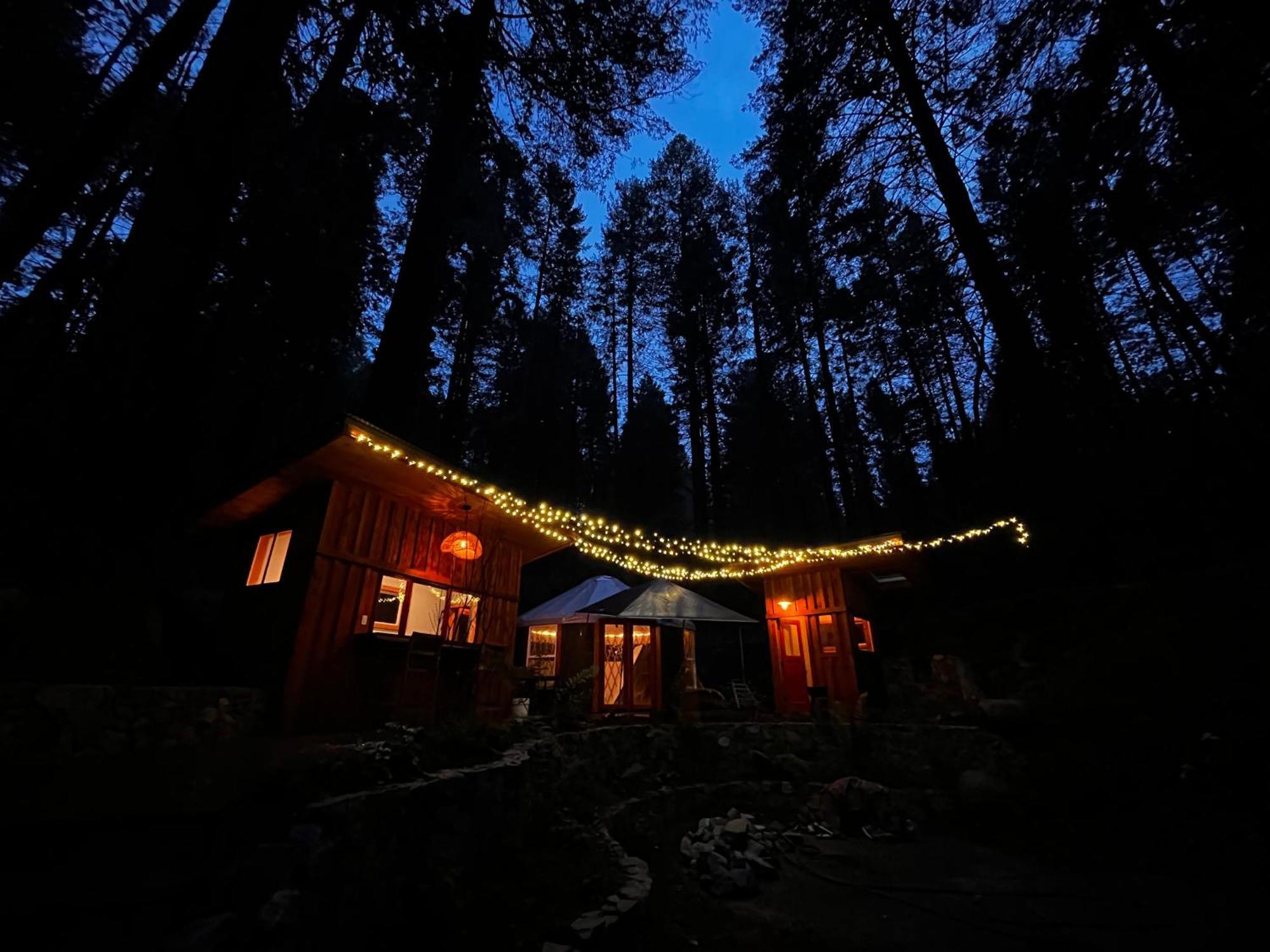 内华达市 Magical Yurt In The Woods - 2 Miles From Town酒店 外观 照片